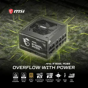 Msi Mag A750gl Pcie5 750 Watt 80 Plus Gold Fully Modular Power Supply
