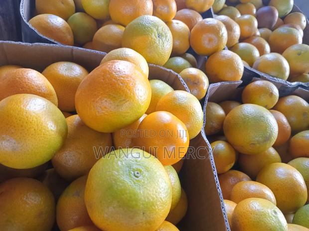 Pixie Oranges Wholesaler