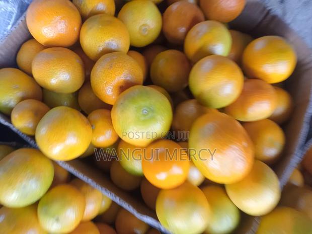 Pixie Oranges Wholesaler - thumbnail 2