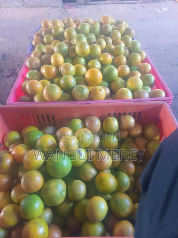 Pixie Oranges Wholesaler - thumbnail 3