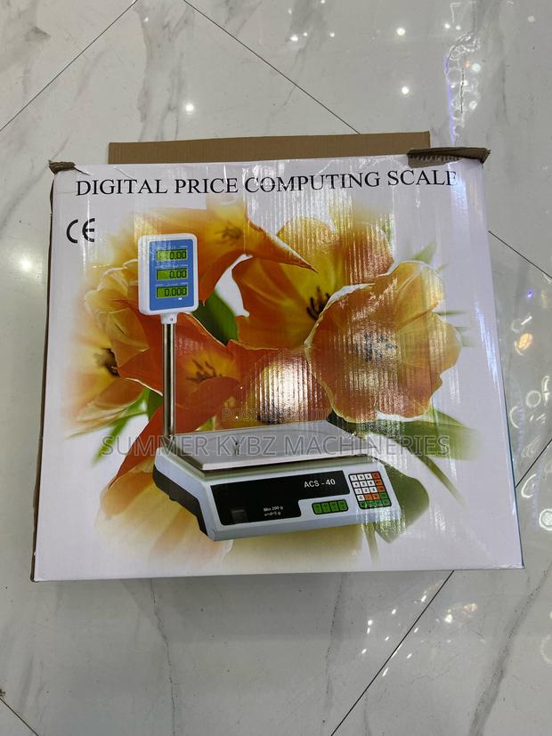 Digital Computing Scale - main view