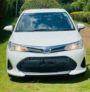 Toyota Axio 2019 White