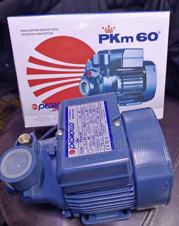 Electric Pedrollo Water Pump(0.5)/Pedrollo Water Pump Pkm60
