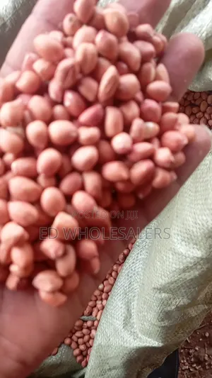 White Round Groundnuts/ Njugu