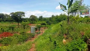 5.5 Acre for Sale Along Kenol Marua Highway