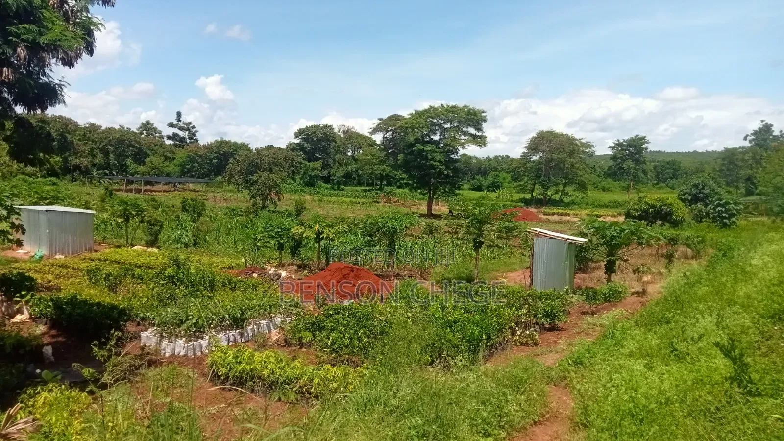 5.5 Acre for Sale Along Kenol Marua Highway
