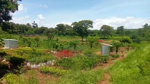 5.5 Acre for Sale Along Kenol Marua Highway