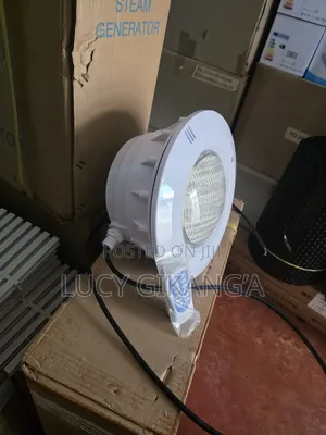 Niche White Light