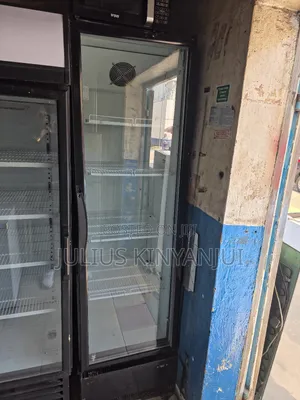 Display Fridge/Chiller 600l