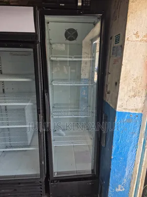 Display Fridge/Chiller 600l
