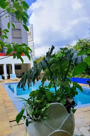 2 Bedroom Apartment in Kilimani