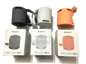 Sony SRS-Xb100 Wireless Speaker