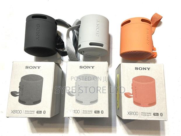 Sony SRS-Xb100 Wireless Speaker