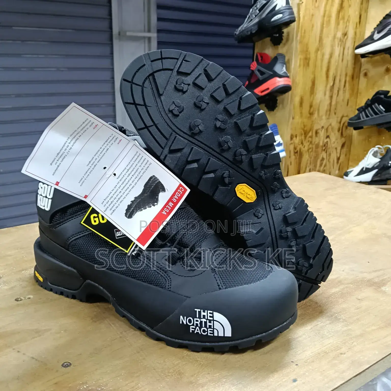 Northface Boots