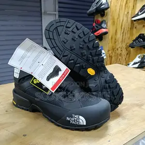 Northface Boots