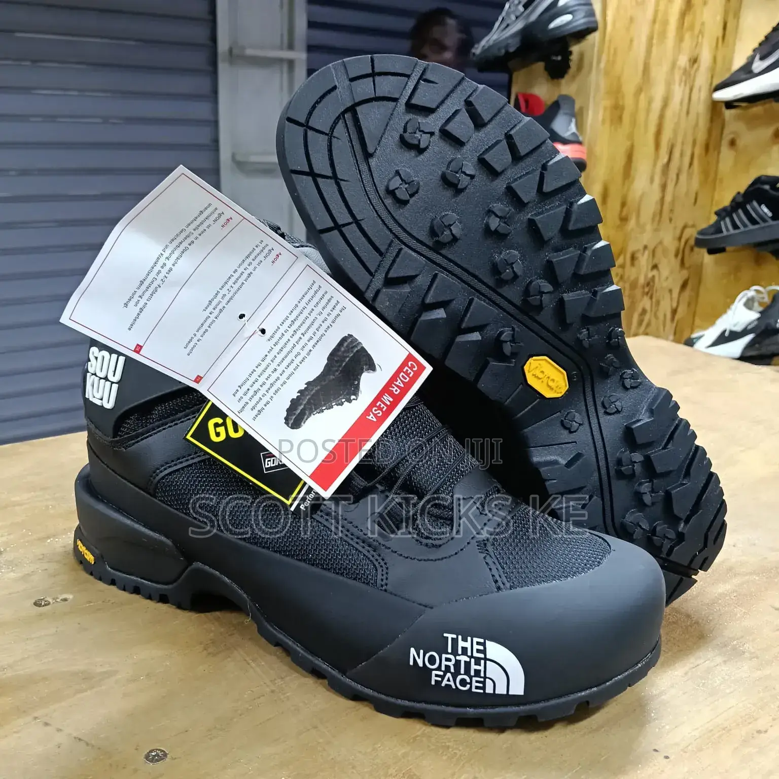 Northface Boots
