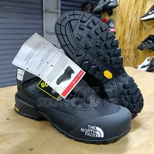 Northface Boots