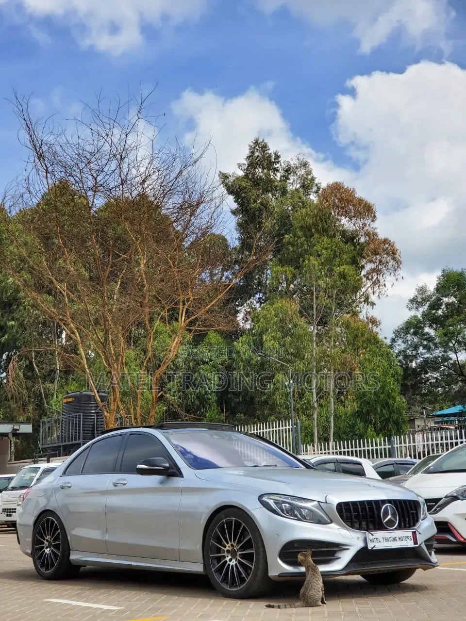Mercedes-Benz C250 2015 Silver