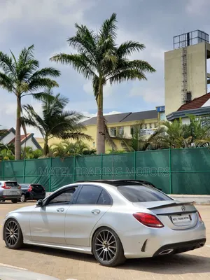 Mercedes-Benz C250 2015 Silver