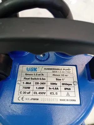 1hp Usk Shallow Well Submersible Pump With Float Switch