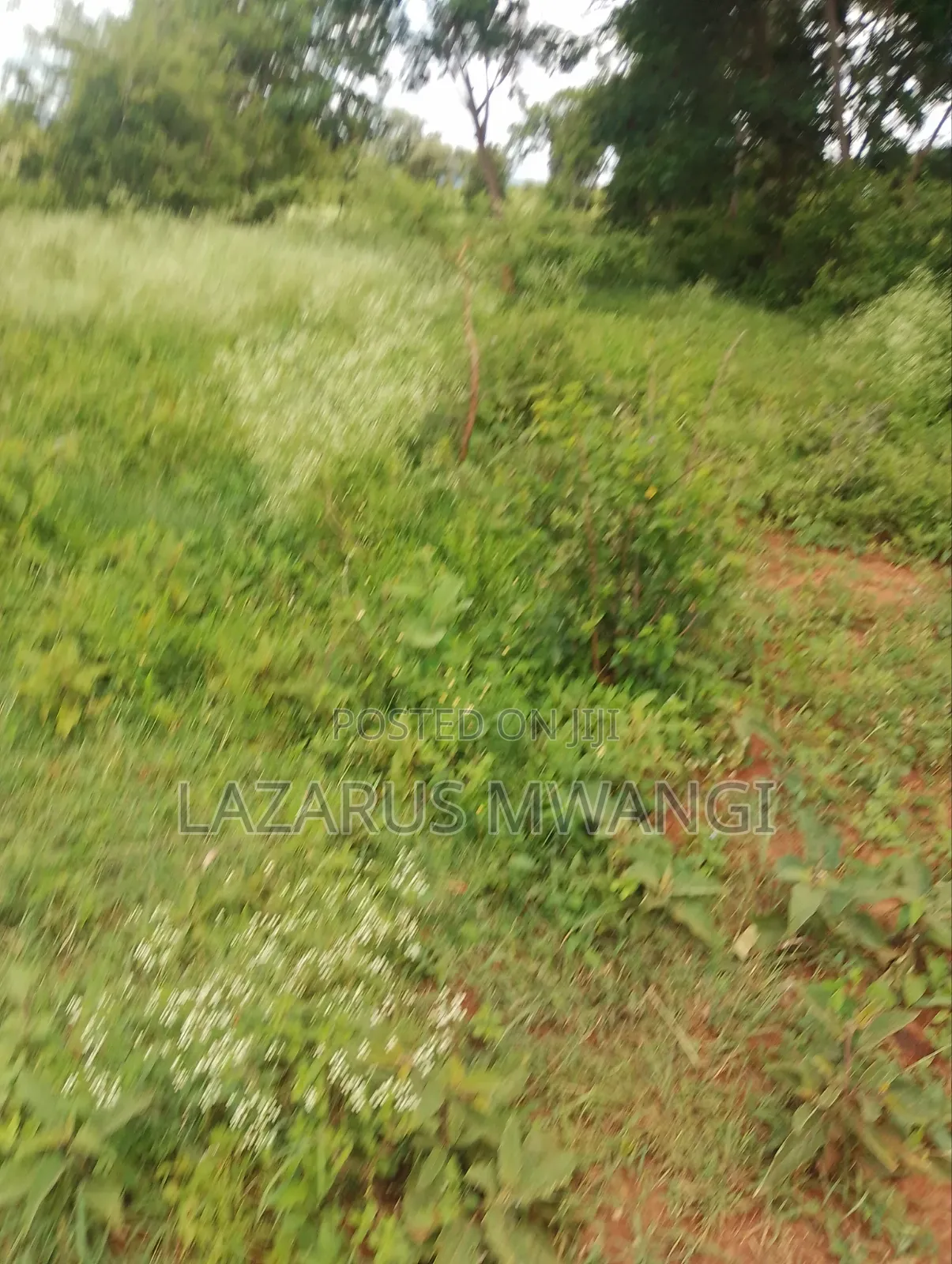 Exclusively 5 Acres of Land With Dam at Nthingini Embu