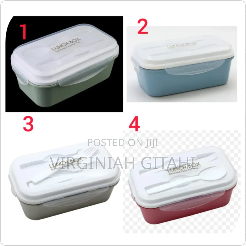 Multicolor Healthy Lunch Box