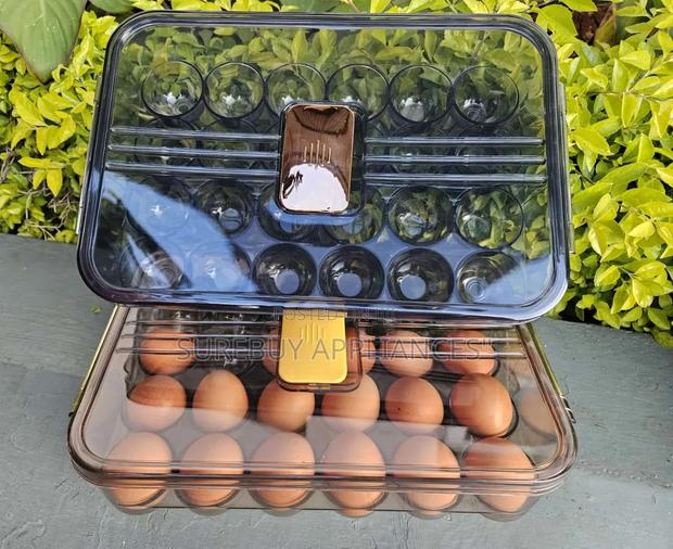 24 Grid Acrylic Egg Holder Tray – Clear Fridge Egg Organizer