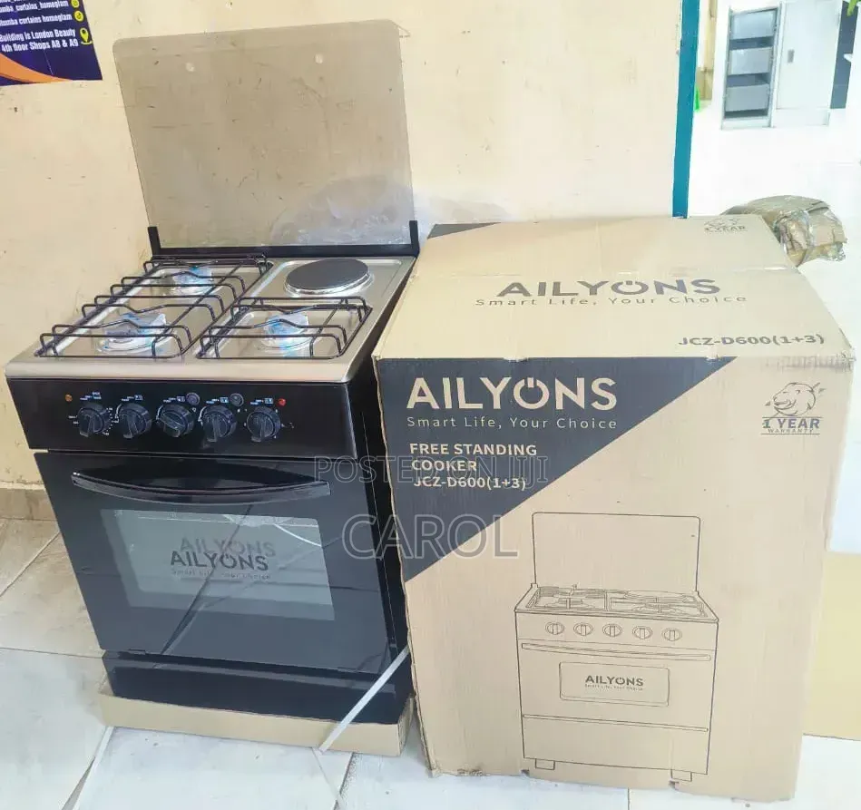3+1 Electric Plate Ailyons