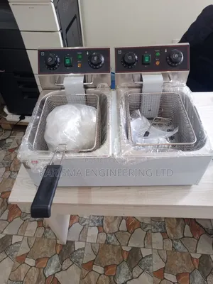 Commercial Double Fryer Machine –