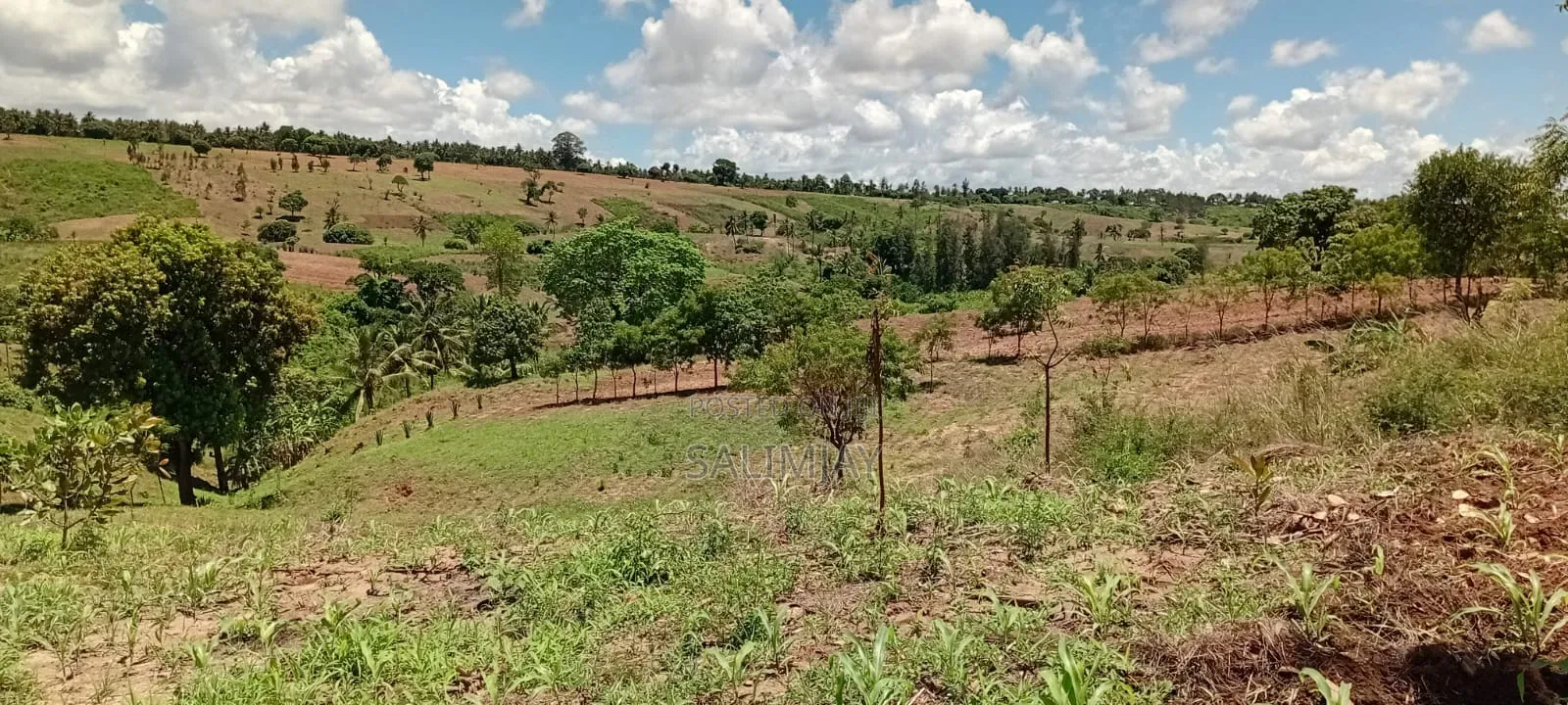 Vipingo Land for Sale
