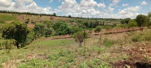 Vipingo Land for Sale