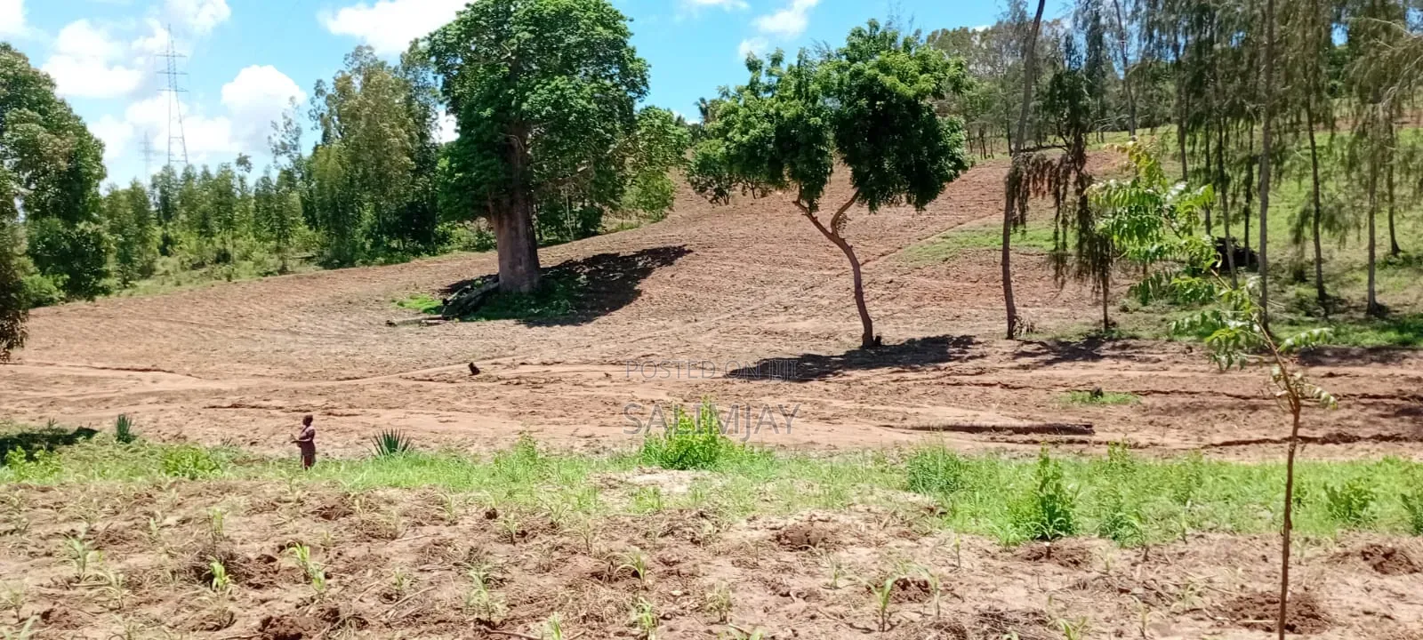 Vipingo Land for Sale