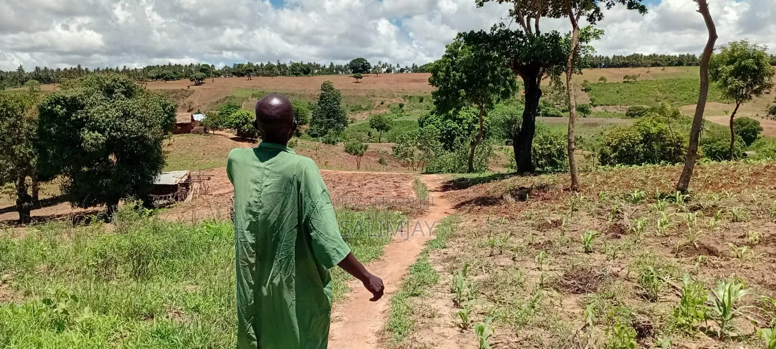 Vipingo Land for Sale