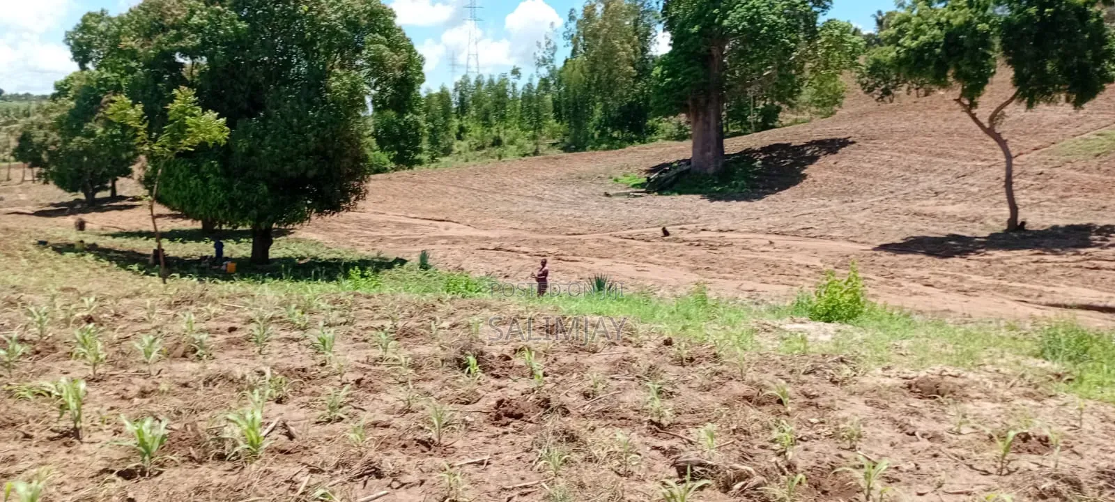 Vipingo Land for Sale