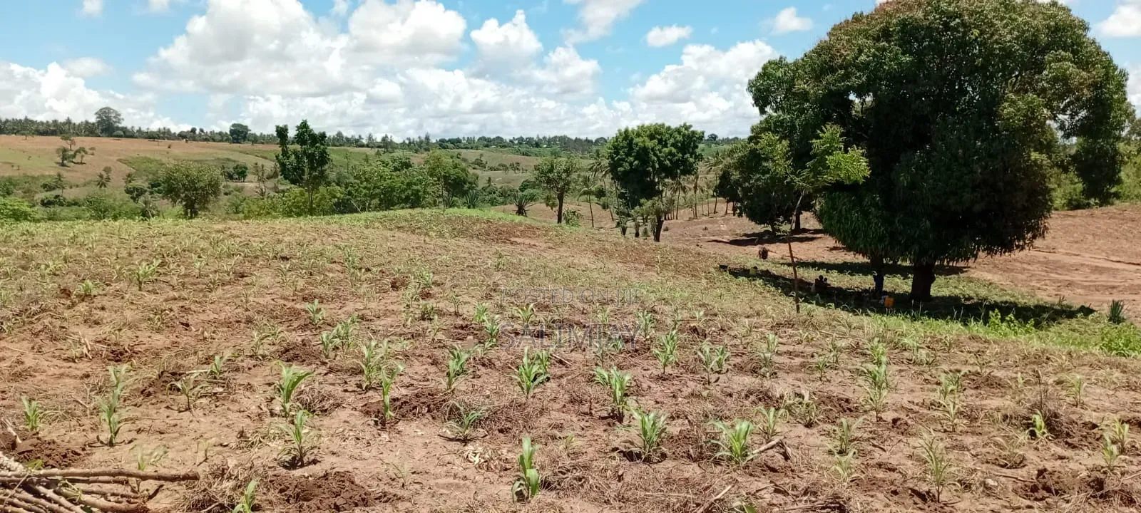 Vipingo Land for Sale