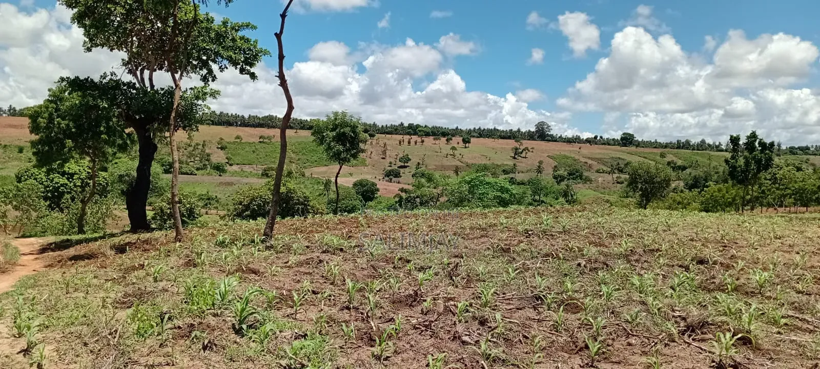 Vipingo Land for Sale
