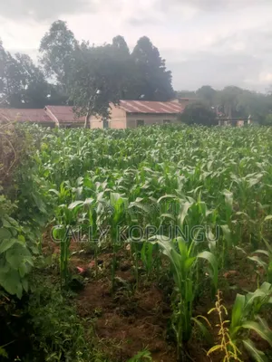 11⁄2 Acres in Kakamega Town