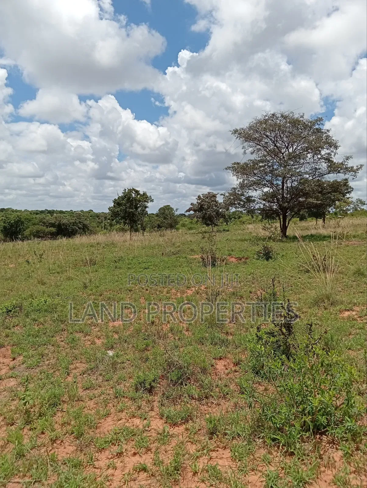 Affordable Plots in Matuu
