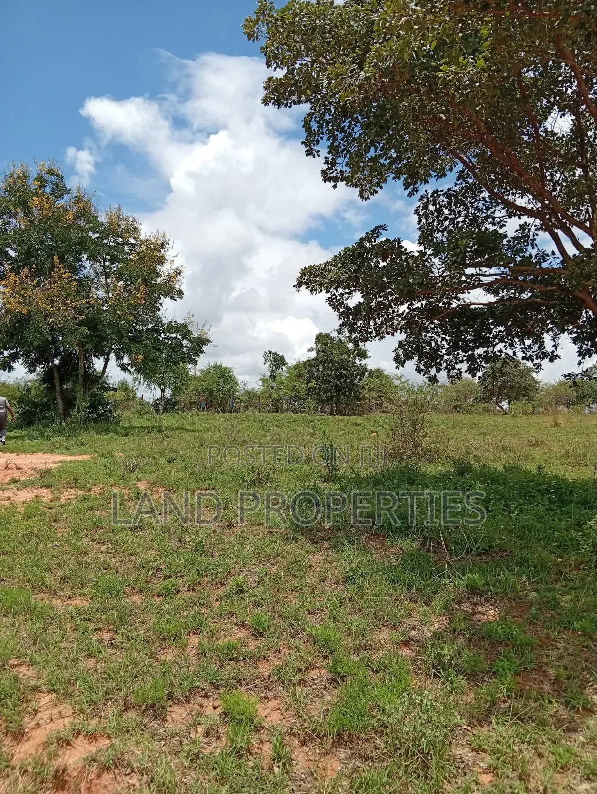 Affordable Plots in Matuu
