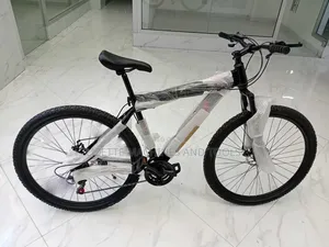 Size 29 SHM Mountain Bike