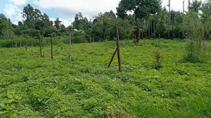 Kikuyu Plots for Sale (Kerwa)