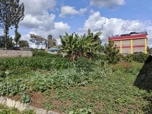 100x100 Plot for Sale in Kabiria