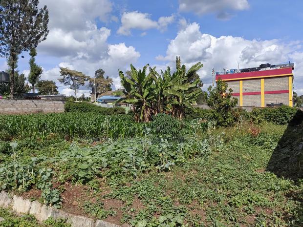 100x100 Plot for Sale in Kabiria - thumbnail 2