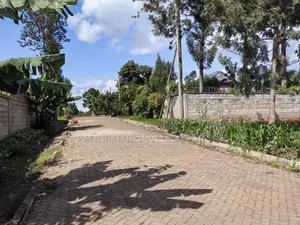 100x100 Plot for Sale in Kabiria