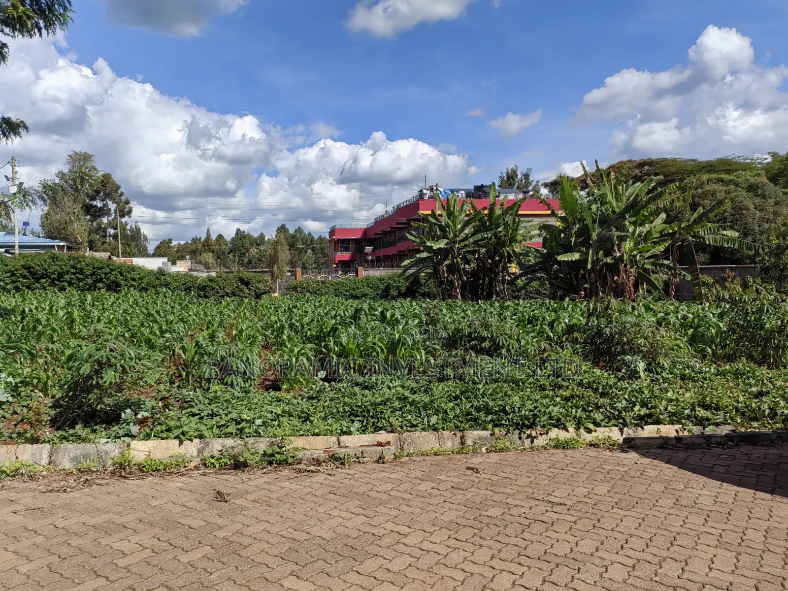 100x100 Plot for Sale in Kabiria