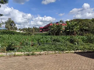 100x100 Plot for Sale in Kabiria