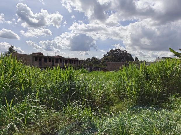 100x100 Plot for Sale in Kabiria - thumbnail 6