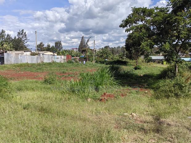 100x100 Plot for Sale in Kabiria - thumbnail 7