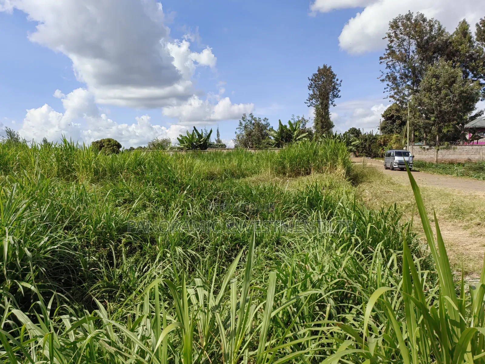 100x100 Plot for Sale in Kabiria
