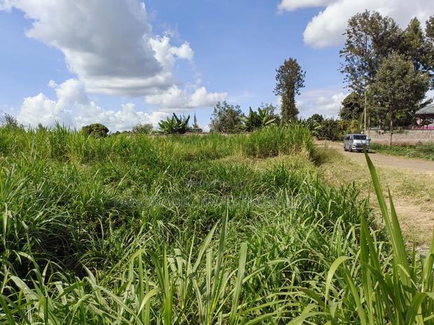 100x100 Plot for Sale in Kabiria - thumbnail 8